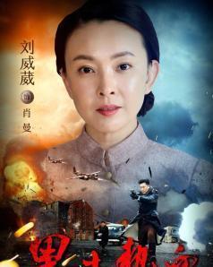 热血黑土在线观看,激情燃烧的岁月在线观看之旅  第3张